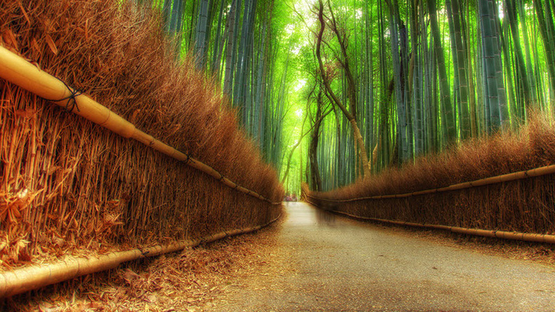 Drive Bottom-Line Cost Reduction
