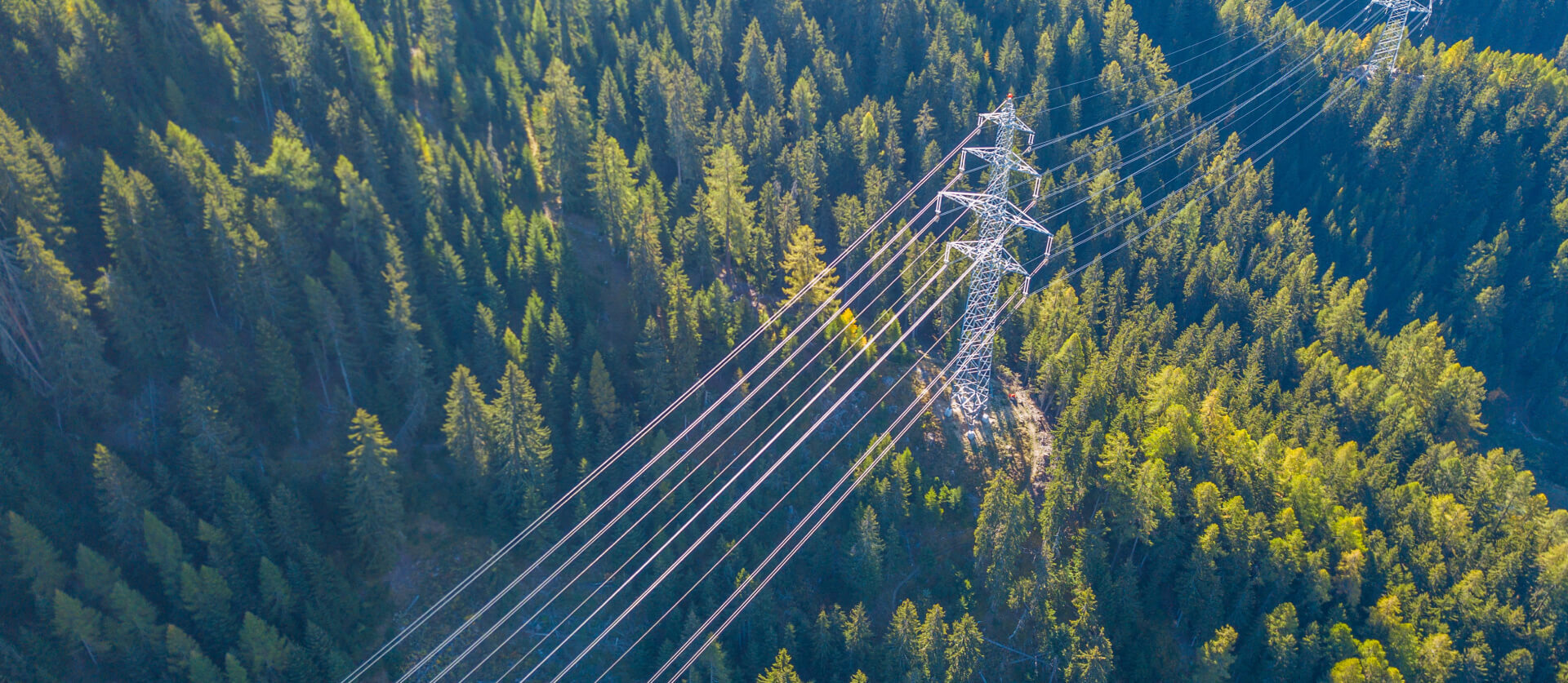 Integrated 
Energy Management